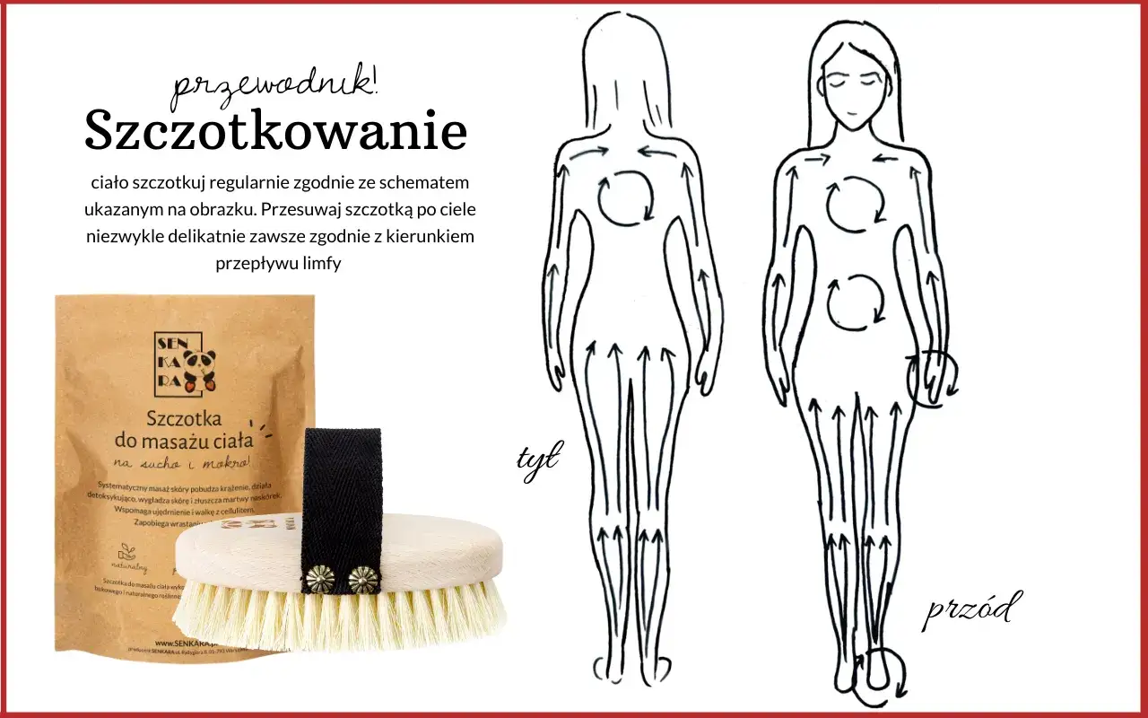 Szczotkowanie ciała zgodnie ze schematem poprawia krążenie i detoksykację. To co daje szczotkowanie ciała to gładka, jędrna sk&oacute;ra bez cellulitu.